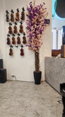 اجرای درخت شکوفه